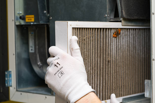 Best Local Air Duct Cleaning Services  in Rockdale, IL