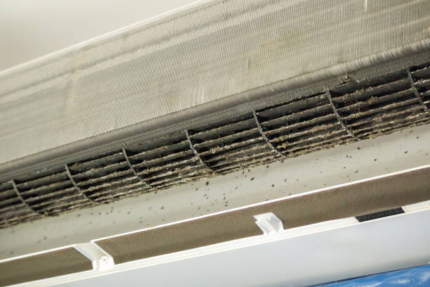 Best Home Air Vent Cleaning  in Rockdale, IL
