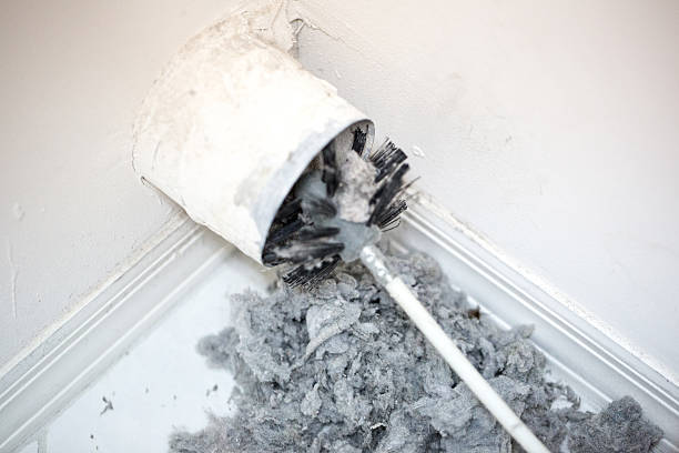Best Air Duct Sanitizing Services  in Rockdale, IL